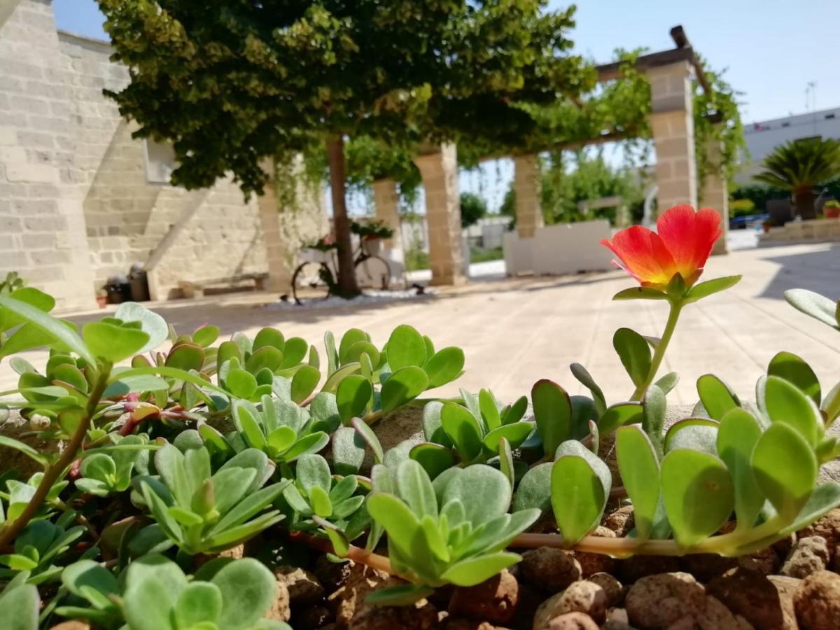 Il Giardino Del Tiglio Bed and Breakfast Uggiano La Chiesa Eksteriør billede