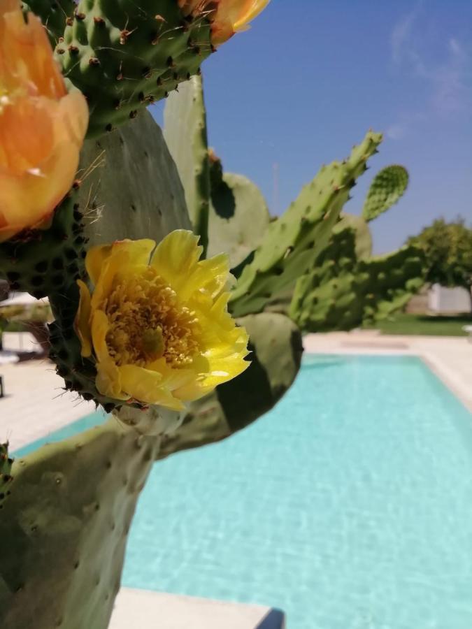 Il Giardino Del Tiglio Bed and Breakfast Uggiano La Chiesa Eksteriør billede