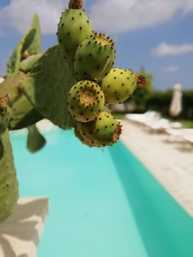 Il Giardino Del Tiglio Bed and Breakfast Uggiano La Chiesa Eksteriør billede